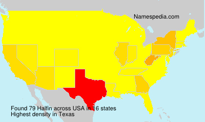 Surname Halfin in USA
