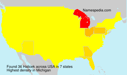 Surname Halicek in USA Surname Halicek in USA