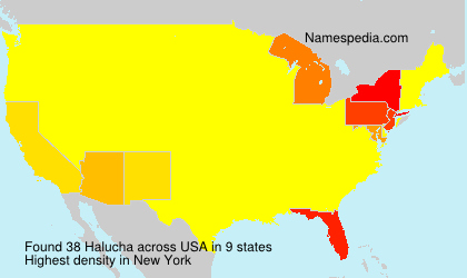 Surname Halucha in USA Surname Halucha in USA