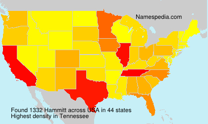 Hammitt Hammitt