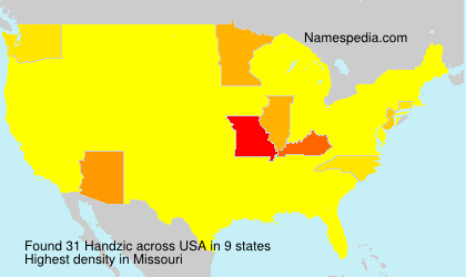 Surname Handzic in USA Surname Handzic in USA