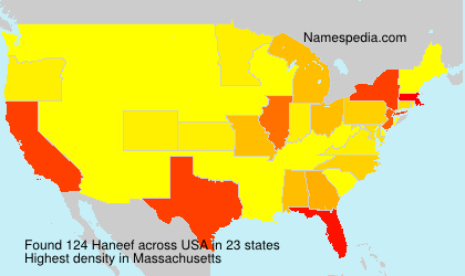 Surname Haneef in USA Surname Haneef in USA
