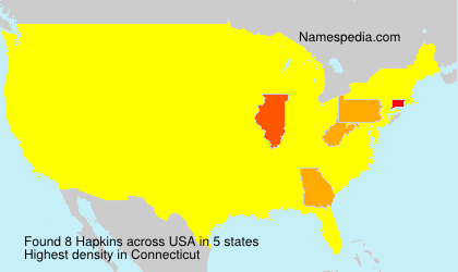 Surname Hapkins in USA