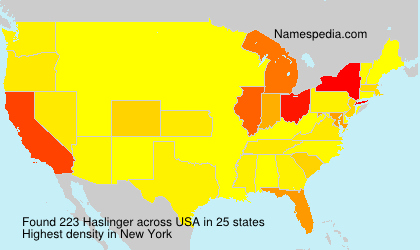 Surname Haslinger in USA Surname Haslinger in USA