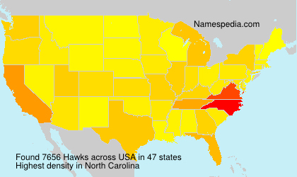 Hawks Hawks