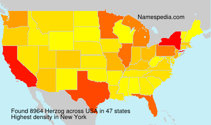 Surname Herzog in USA