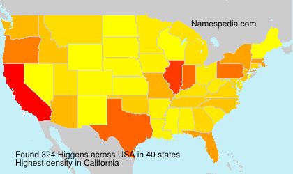 Higgens Higgens