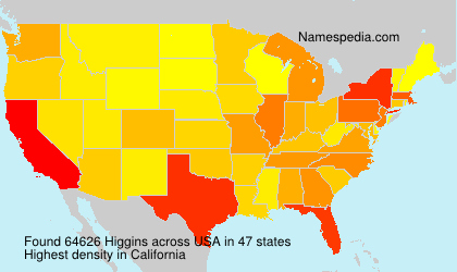 Higgins Higgins