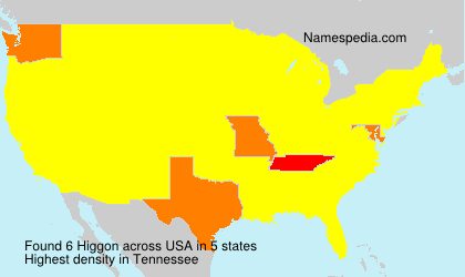 Familiennamen Higgon - USA