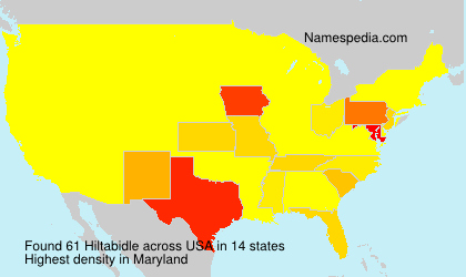 Surname Hiltabidle in USA