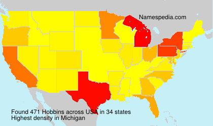 Surname Hobbins in USA Surname Hobbins in USA