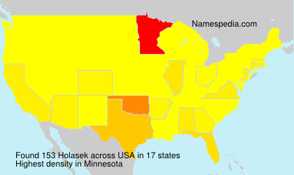 Surname Holasek in USA