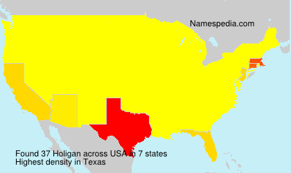 Surname Holigan in USA