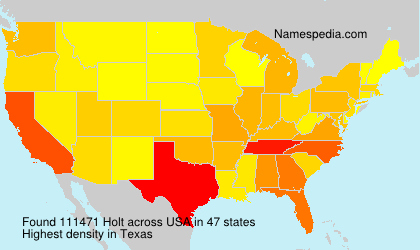 Surname Holt in USA Surname Holt in USA