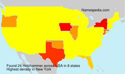 Surname Holzhammer in USA Surname Holzhammer in USA