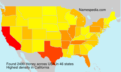 Honey Honey