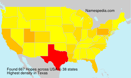 Surname Hopes in USA Surname Hopes in USA