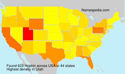 Surname Hopkin in USA Surname Hopkin in USA