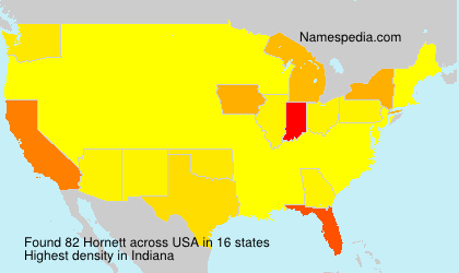 Surname Hornett in USA Surname Hornett in USA