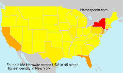 Surname Horowitz in USA Surname Horowitz in USA