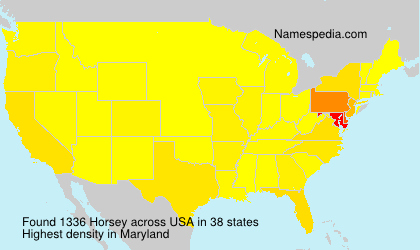Horsey Horsey