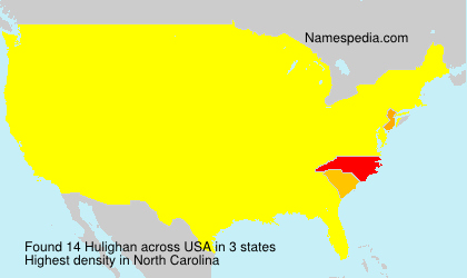 Surname Hulighan in USA