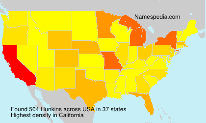 Surname Hunkins in USA Surname Hunkins in USA