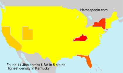Surname Jibb in USA Surname Jibb in USA