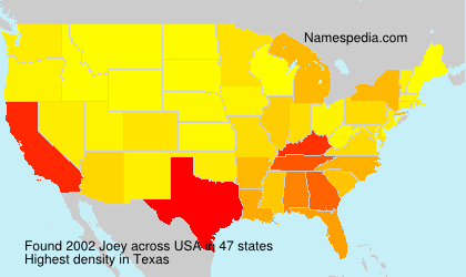 Joey Joey