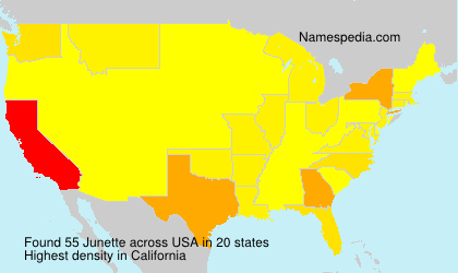 Surname Junette in USA Surname Junette in USA