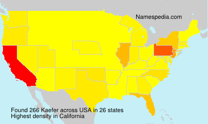 Surname Kaefer in USA Surname Kaefer in USA