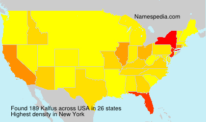 Surname Kalfus in USA Surname Kalfus in USA
