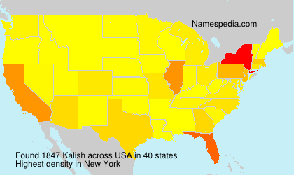 Surname Kalish in USA Surname Kalish in USA