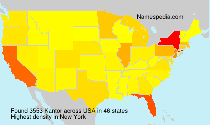 Surname Kantor in USA Surname Kantor in USA