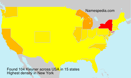 Surname Kleyner in USA