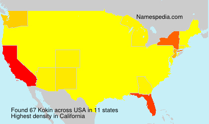 Surname Kokin in USA