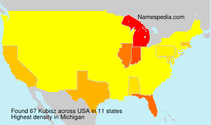 Surname Kubisz in USA