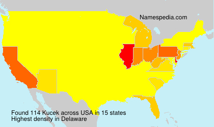 Kucek Kucek
