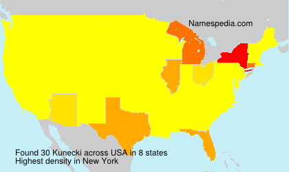 Surname Kunecki in USA Surname Kunecki in USA