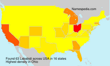 Surname Lababidi in USA Surname Lababidi in USA