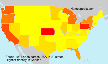 Surname Labes in USA Surname Labes in USA