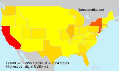 Surname Labib in USA Surname Labib in USA