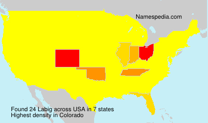 Surname Labig in USA Surname Labig in USA