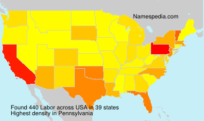 Surname Labor in USA Surname Labor in USA