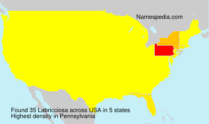 Surname Labricciosa in USA Surname Labricciosa in USA