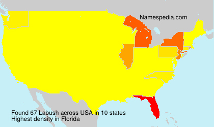 Surname Labush in USA Surname Labush in USA