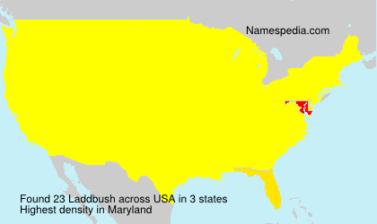 Laddbush Laddbush