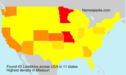 Surname Lambkins in USA Surname Lambkins in USA