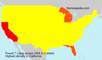 Surname Lapig in USA
