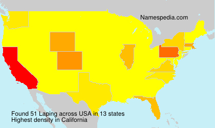 Surname Laping in USA